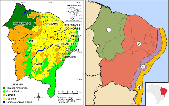 Regiões de Produção - Frutas do Brasil